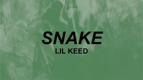 ysl bitch we livin life|Lil Keed – Snake Lyrics .